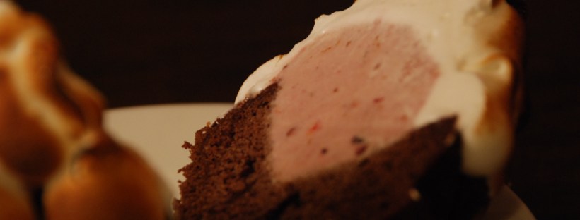 DIY cupcake baked alaska tutorial with chocolate, ice cream, and meringue